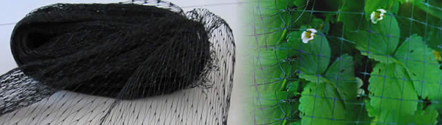 10x10 Mesh Plastic Knitted Mesh at 30 gsm Unit Weight