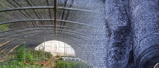 Agricultural Shade Cloth of 100% Virgin HDPE, Shade Rate at 90%